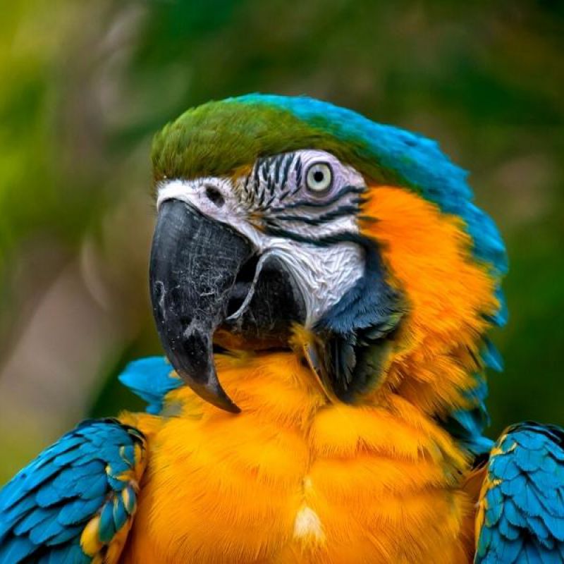 Naturaleza y ecoturismo desde Ecuador