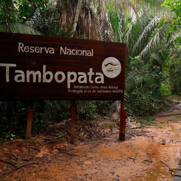 Tours en Tambopata  desde Ecuador