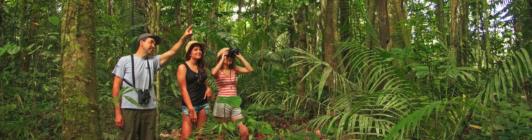 Reserva Tambopata, Puerto Maldonado  desde Ecuador