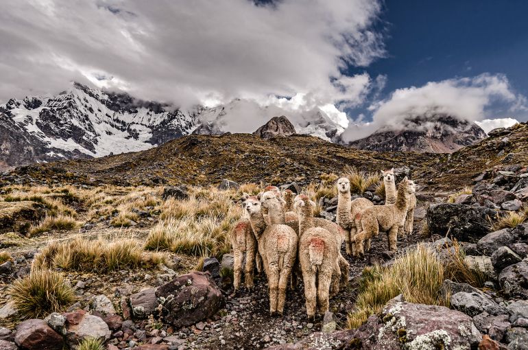 Paquete Cusco y Machu Picchu 8 Días y 7 Noches Viajero (Full Aventura Tendencia) desde Ecuador