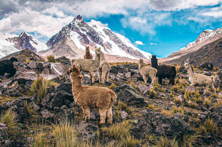 Paquete Cusco y Machu Picchu 4 Días y 3 Noches Viajero (Cultural Aventura Tendencia) desde Ecuador