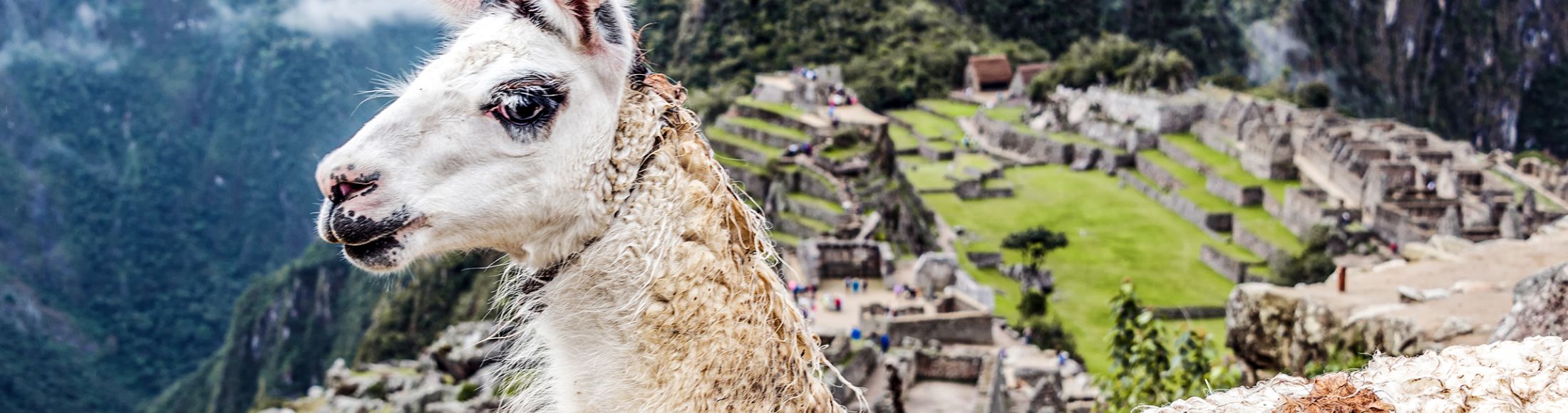 Machu Picchu 8D7N Viajero (Full Cultural)  desde Ecuador