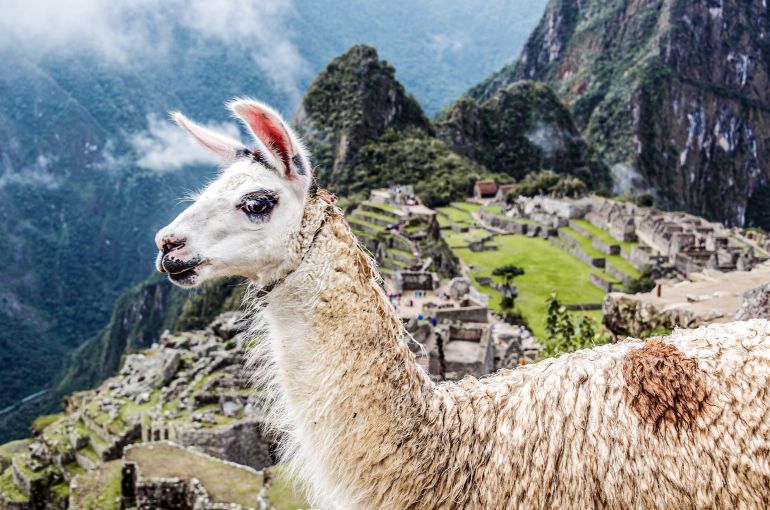 Paquete Cusco y Machu Picchu 8 Días y 7 Noches Viajero (Full Cultural) desde Ecuador