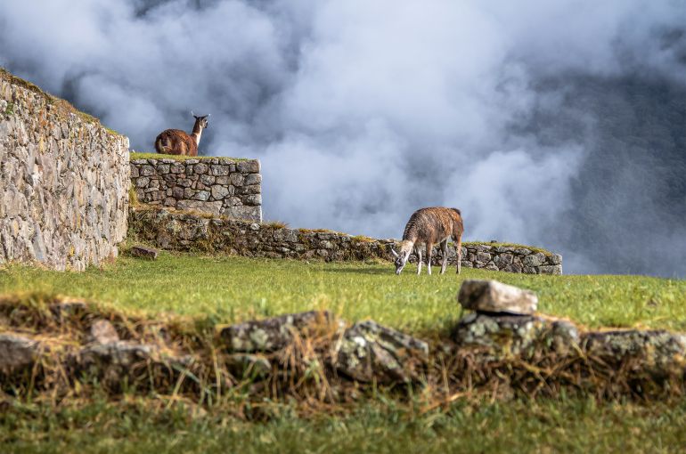 Paquete Cusco y Machu Picchu 4 Días y 3 Noches Viajero (Cultural Aventura) desde Ecuador